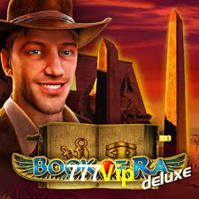 Premium Interface 777Vip